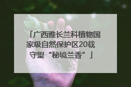 广西雅长兰科植物国家级自然保护区20载守望“秘境兰香”