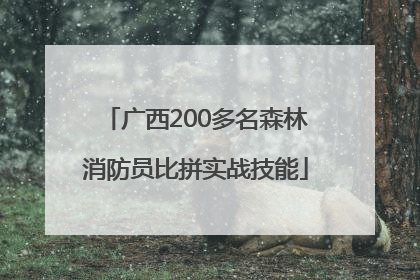 广西200多名森林消防员比拼实战技能