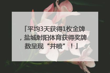 平均3天获得1枚金牌，盐城射阳体育获得奖牌数呈现“井喷”！