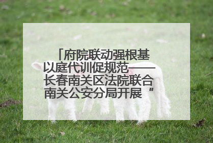 府院联动强根基 以庭代训促规范——长春南关区法院联合南关公安分局开展“以庭代训”