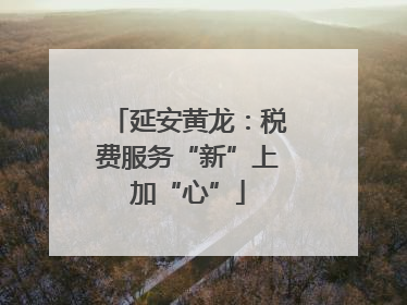 延安黄龙：税费服务“新”上加“心”