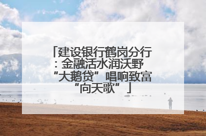 建设银行鹤岗分行：金融活水润沃野 “大鹅贷”唱响致富“向天歌”