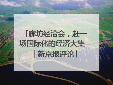 廊坊经洽会，赶一场国际化的经济大集｜新京报评论