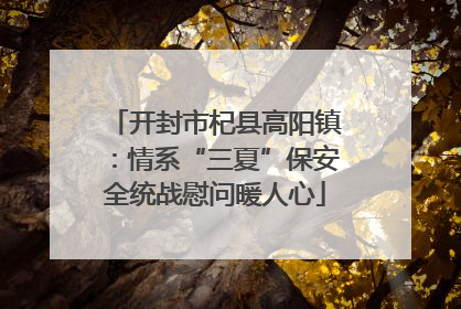 开封市杞县高阳镇：情系“三夏”保安全统战慰问暖人心