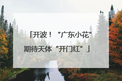 开波！“广东小花”期待天体“开门红”