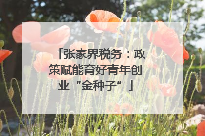张家界税务：政策赋能育好青年创业“金种子”