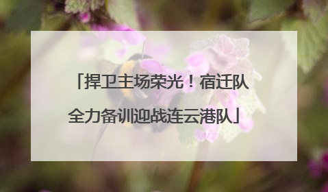 捍卫主场荣光！宿迁队全力备训迎战连云港队