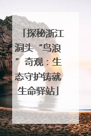 探秘浙江洞头“鸟浪”奇观：生态守护铸就生命驿站
