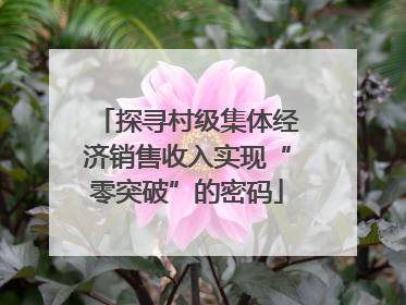 探寻村级集体经济销售收入实现“零突破”的密码