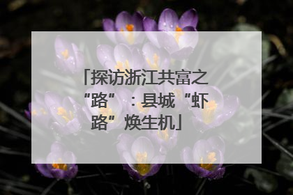 探访浙江共富之“路”：县城“虾路”焕生机