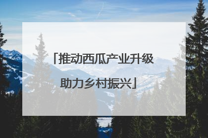 推动西瓜产业升级 助力乡村振兴