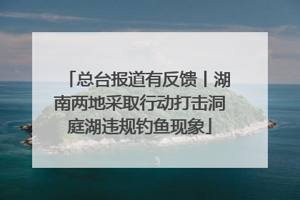总台报道有反馈丨湖南两地采取行动打击洞庭湖违规钓鱼现象