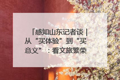 感知山东记者谈｜从“买体验”到“买意义”：看文旅繁荣背后的幸福新定义