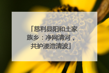慈利县阳和土家族乡：净网清河，共护溇澧清波