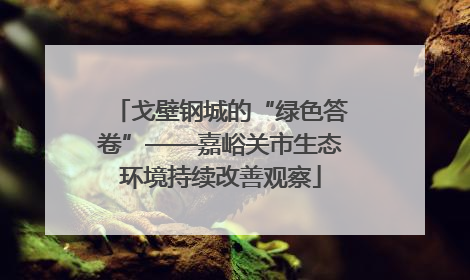 戈壁钢城的“绿色答卷”——嘉峪关市生态环境持续改善观察