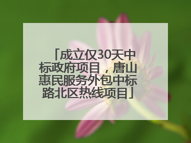 成立仅30天中标政府项目，唐山惠民服务外包中标路北区热线项目
