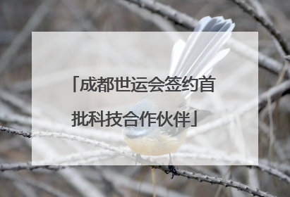 成都世运会签约首批科技合作伙伴