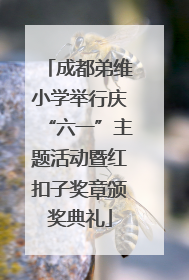 成都弟维小学举行庆“六一”主题活动暨红扣子奖章颁奖典礼