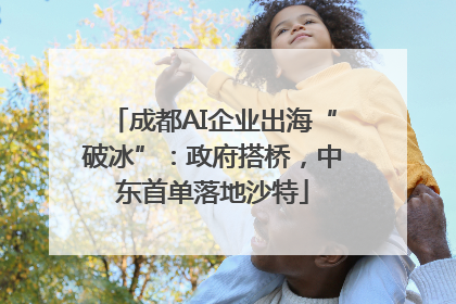成都AI企业出海“破冰”：政府搭桥，中东首单落地沙特
