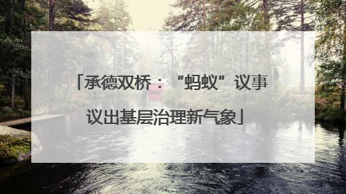 承德双桥：“蚂蚁”议事 议出基层治理新气象