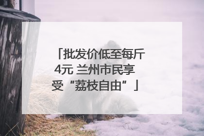 批发价低至每斤4元 兰州市民享受“荔枝自由”