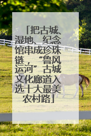 把古城、湿地、纪念馆串成珍珠链，“鲁风运河”古城文化廊道入选十大最美农村路