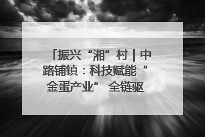 振兴“湘”村｜中路铺镇：科技赋能“金蛋产业” 全链驱动乡村振兴