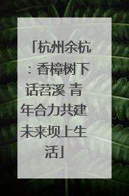杭州余杭：香樟树下话苕溪 青年合力共建未来坝上生活