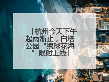 杭州今天下午起雨渐止，白塔公园“绣球花海”限时上线