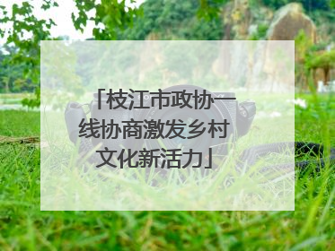 枝江市政协一线协商激发乡村文化新活力