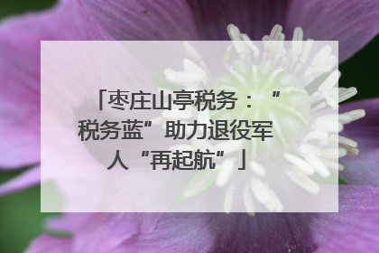 枣庄山亭税务：“税务蓝”助力退役军人“再起航”