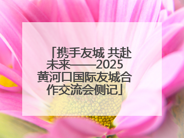 携手友城 共赴未来——2025黄河口国际友城合作交流会侧记