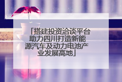 搭建投资洽谈平台 助力四川打造新能源汽车及动力电池产业发展高地