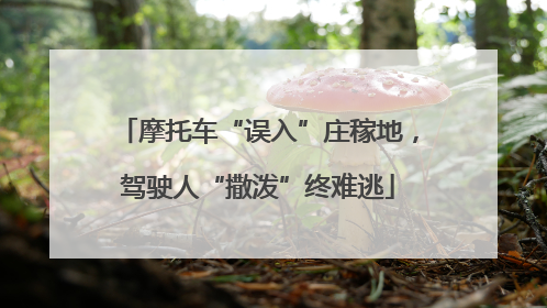 摩托车“误入”庄稼地，驾驶人“撒泼”终难逃