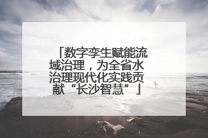 数字孪生赋能流域治理，为全省水治理现代化实践贡献“长沙智慧”