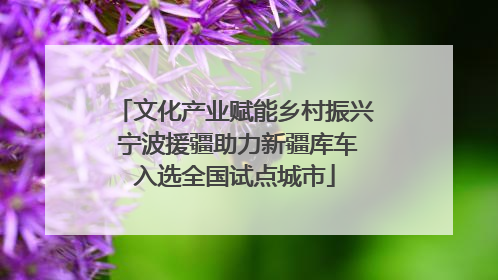 文化产业赋能乡村振兴 宁波援疆助力新疆库车入选全国试点城市