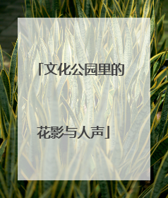 文化公园里的花影与人声