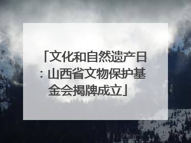 文化和自然遗产日：山西省文物保护基金会揭牌成立