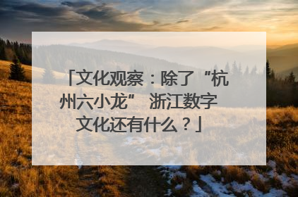 文化观察：除了“杭州六小龙” 浙江数字文化还有什么？