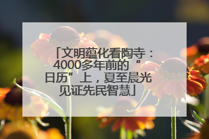 文明蕴化看陶寺：4000多年前的“日历”上，夏至晨光见证先民智慧