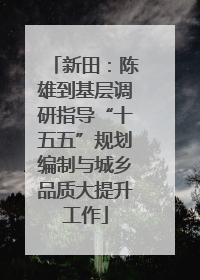 新田：陈雄到基层调研指导“十五五”规划编制与城乡品质大提升工作