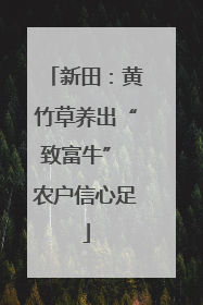 新田：黄竹草养出“致富牛” 农户信心足