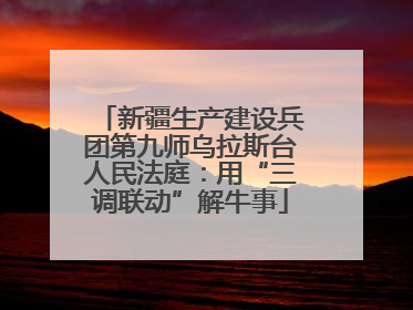 新疆生产建设兵团第九师乌拉斯台人民法庭：用“三调联动”解牛事