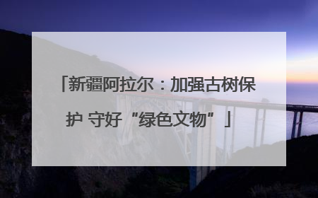 新疆阿拉尔：加强古树保护 守好“绿色文物”