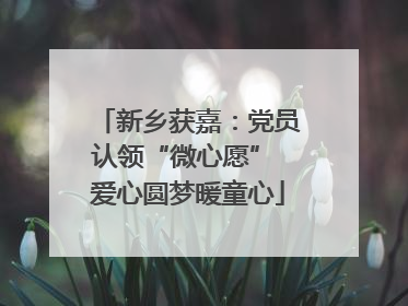 新乡获嘉：党员认领“微心愿” 爱心圆梦暖童心