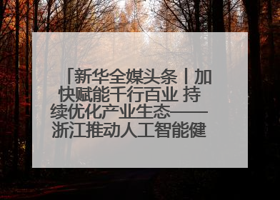 新华全媒头条丨加快赋能千行百业 持续优化产业生态——浙江推动人工智能健康有序发展观察