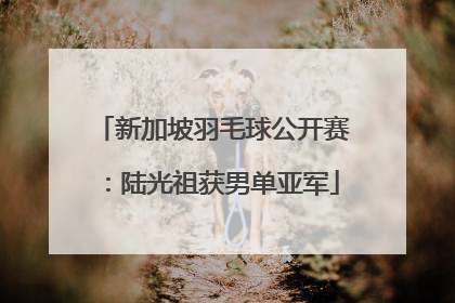 新加坡羽毛球公开赛：陆光祖获男单亚军