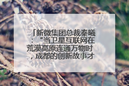 新微集团总裁秦曦：“当卫星互联网在荒漠高原连通万物时，成都的创新故事才真正开始”