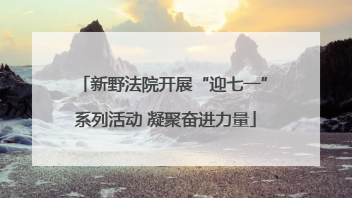 新野法院开展“迎七一”系列活动 凝聚奋进力量