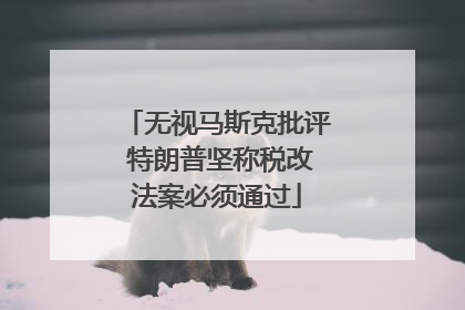 无视马斯克批评 特朗普坚称税改法案必须通过